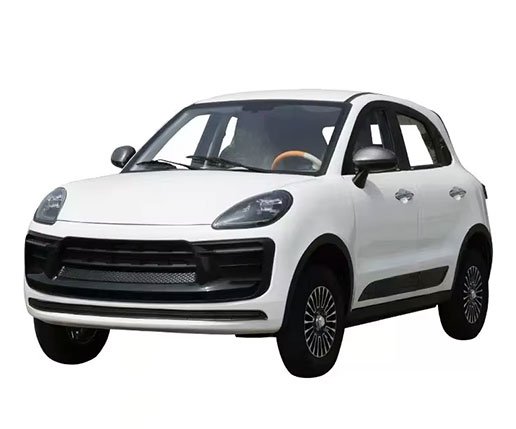 Mini -Cayenne